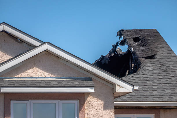 Top rated local Fire Damage Removal specialists in Riverside, NJ